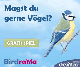 Birdrama: gratis Spiel auf Internet, sich um einen Vogel kümmern