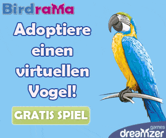 Birdrama: gratis Spiel auf Internet, sich um einen Vogel kümmern